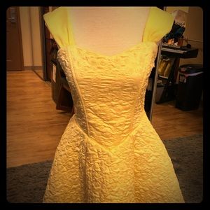 Beauty and the Beast costume dress